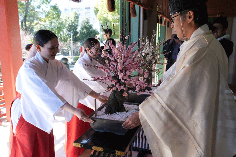 亀戸天神社